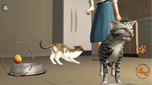 猫咪想恋爱 v300.1.0.3018 安卓版2