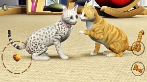 猫咪想恋爱 v300.1.0.3018 安卓版1