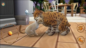 猫咪想恋爱 v300.1.0.3018 安卓版0