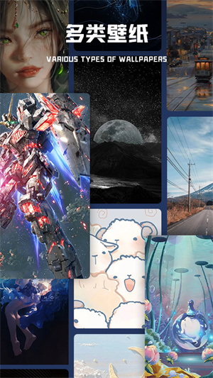 二次元壁纸 v1.1 安卓版1