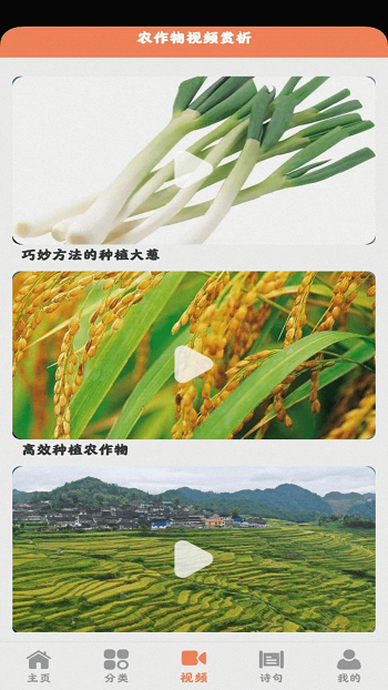 田园小院手游 v1.1.6 安卓版3