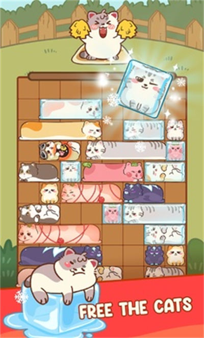 滑猫 v1.0 安卓版4