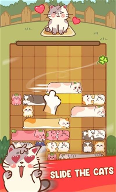 滑猫 v1.0 安卓版0