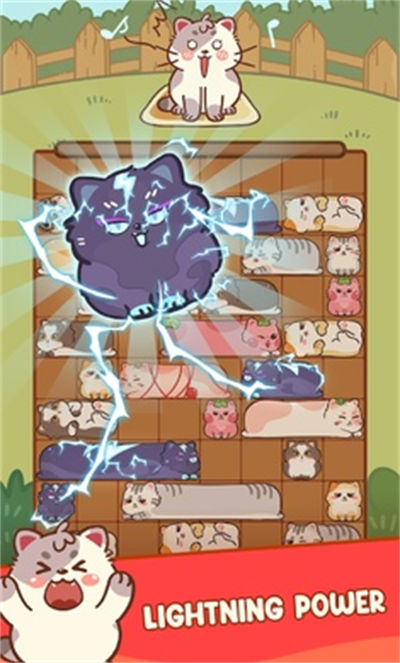 滑猫 v1.0 安卓版3