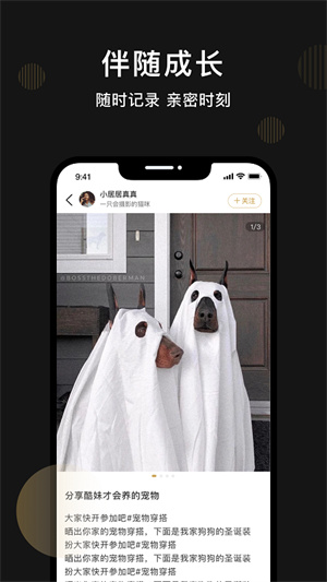 皮可宠物 v1.1.1 安卓版1
