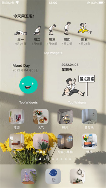 top widgets万能小组件 v8.1 ios版0