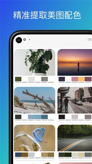 配色卡 v1.0 手机版1