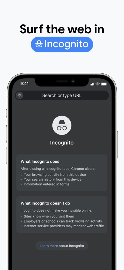 谷歌chrome浏览器苹果版 v119.0.6045.109 官方版4