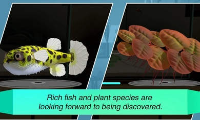 水族设计师 v1.0.0 安卓版2