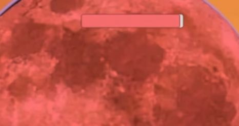 m木糖m火影忍者 v1.0 安卓版0