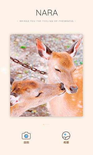 nihon cam v1.4.8 安卓版3