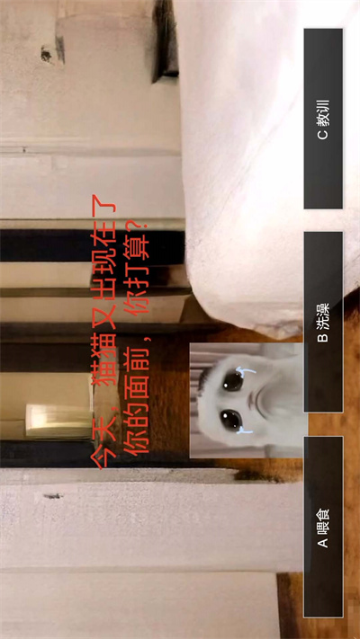 猫鼠特工猫猫惊魂 v1.0 安卓版1