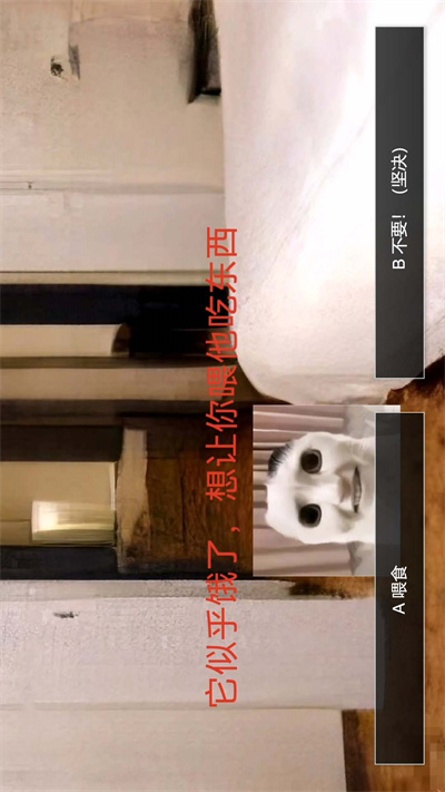 猫鼠特工猫猫惊魂 v1.0 安卓版0