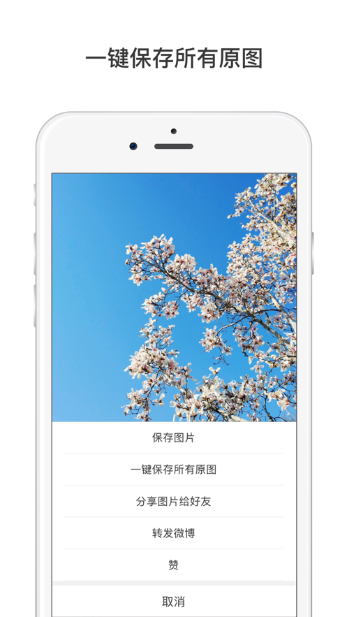 微博国际版iPhone客户端 v6.5.1 苹果手机版4