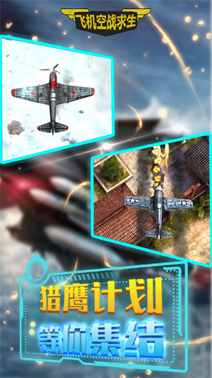 飞机空战求生 v1.00
