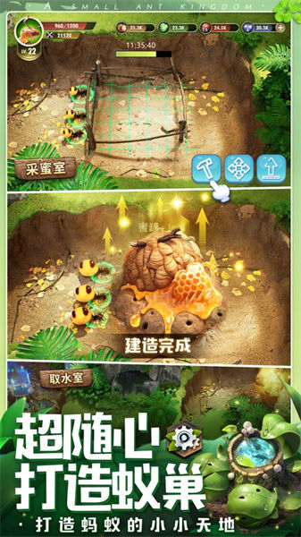 小小蚁国ios v3.0.25 苹果版2