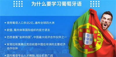 葡萄牙语翻译 v1.0.20