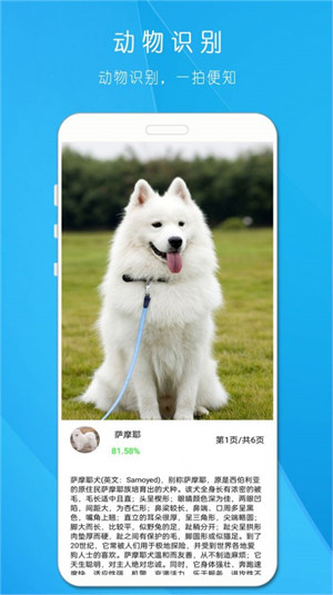 拍照识万物 v1.8172