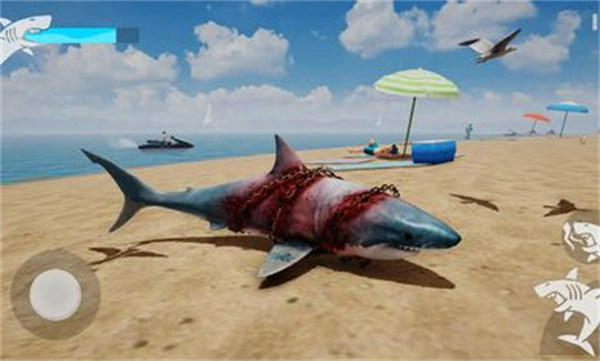 鲨鱼之怒 v1 安卓版4