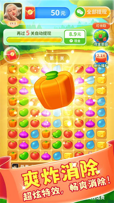 团团消消乐 v1.0 安卓版0