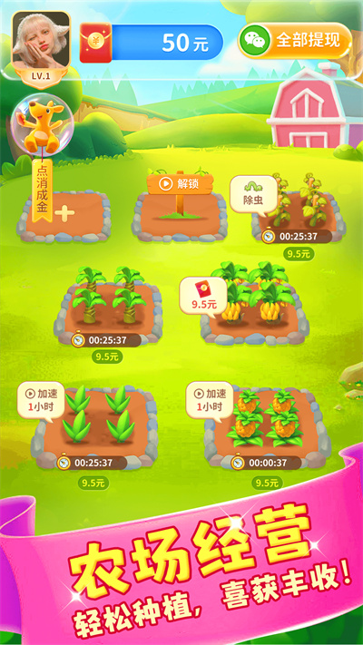 团团消消乐 v1.0 安卓版2