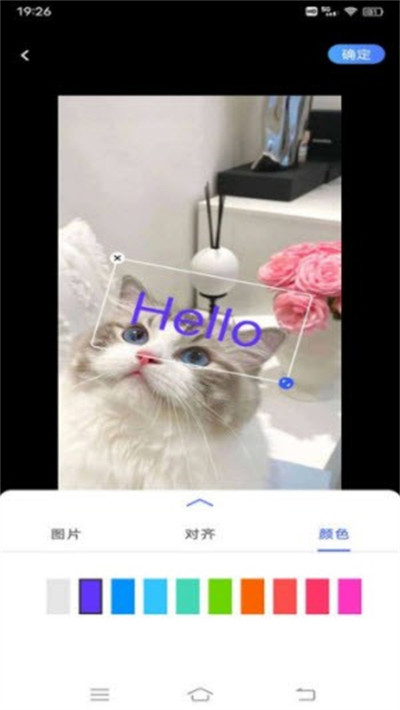 小猪翻译器 v1.0.1 手机版2