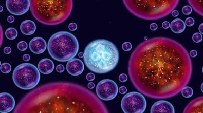 吞噬进化生存 v1.0.0 安卓版3