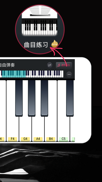 piano simulator模拟钢琴 v25.5.44 安卓版1