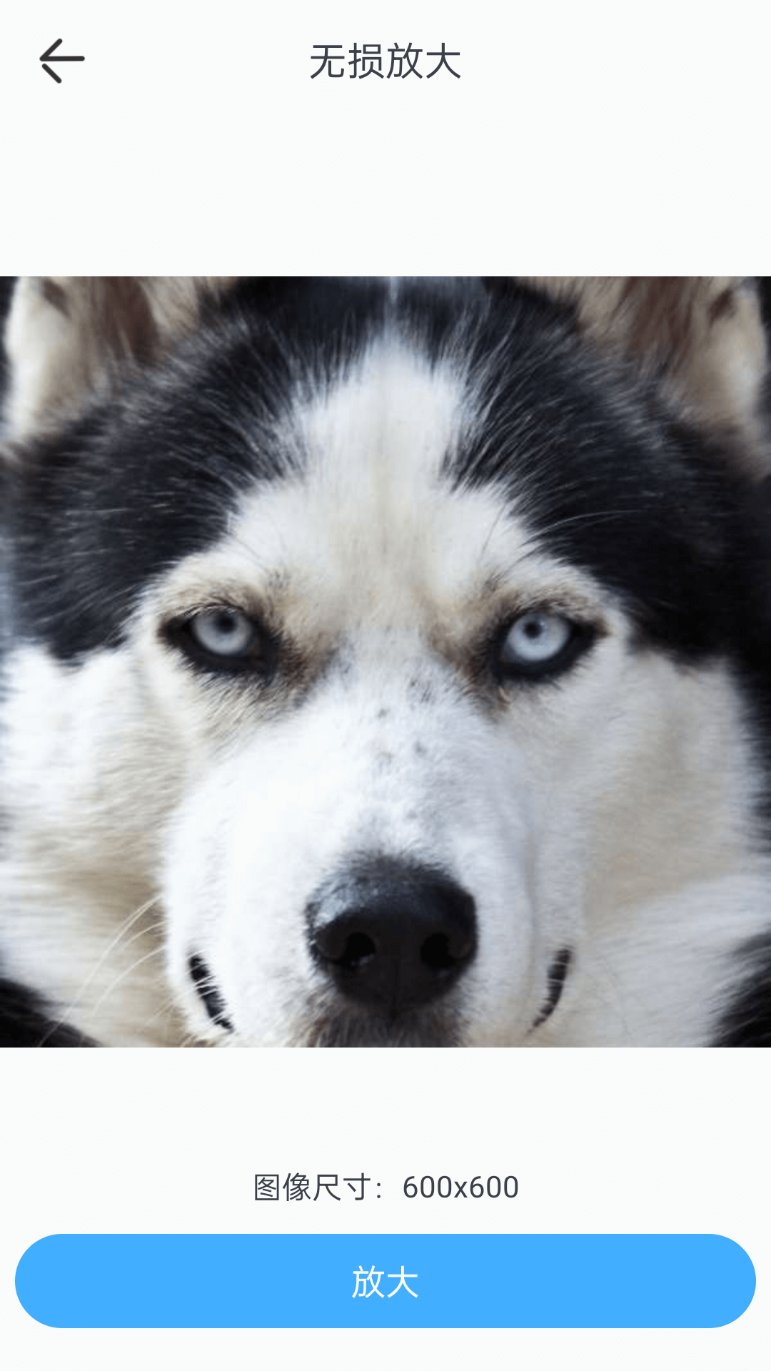 特效魔幻相机 v1.1.9 安卓版3