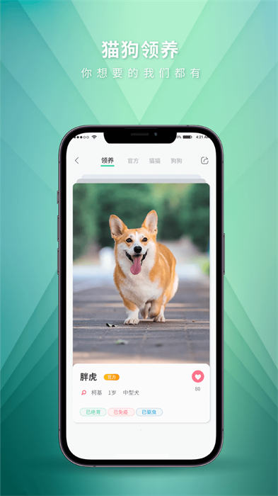 麦道宠物最新版 v2.5.8 安卓版0