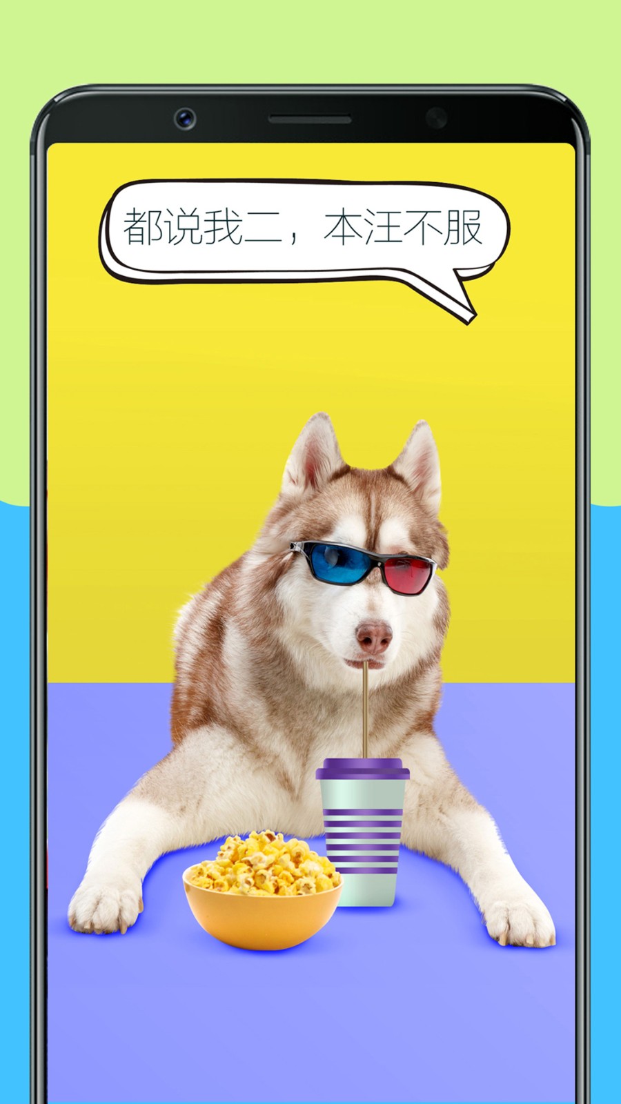 人狗训练翻译器androidanimationdemo v3.1 安卓版1