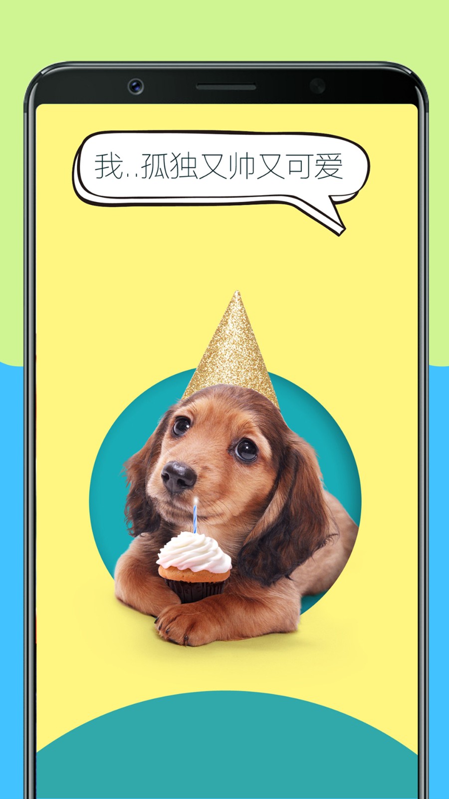 人狗训练翻译器androidanimationdemo v3.1 安卓版0