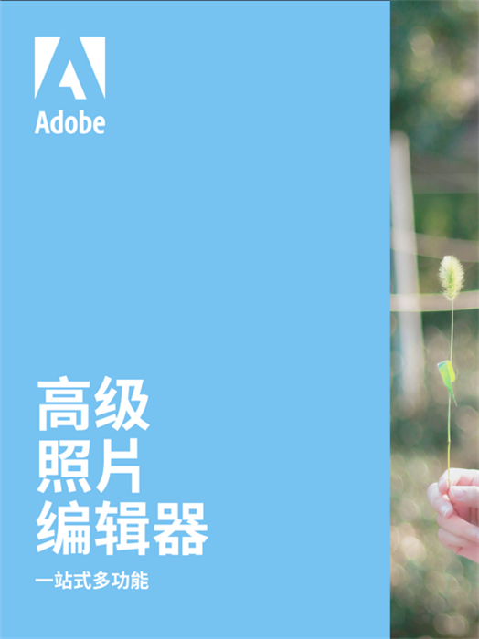 Adobe Photoshop Express ipad版 v24.1.0 ios版6