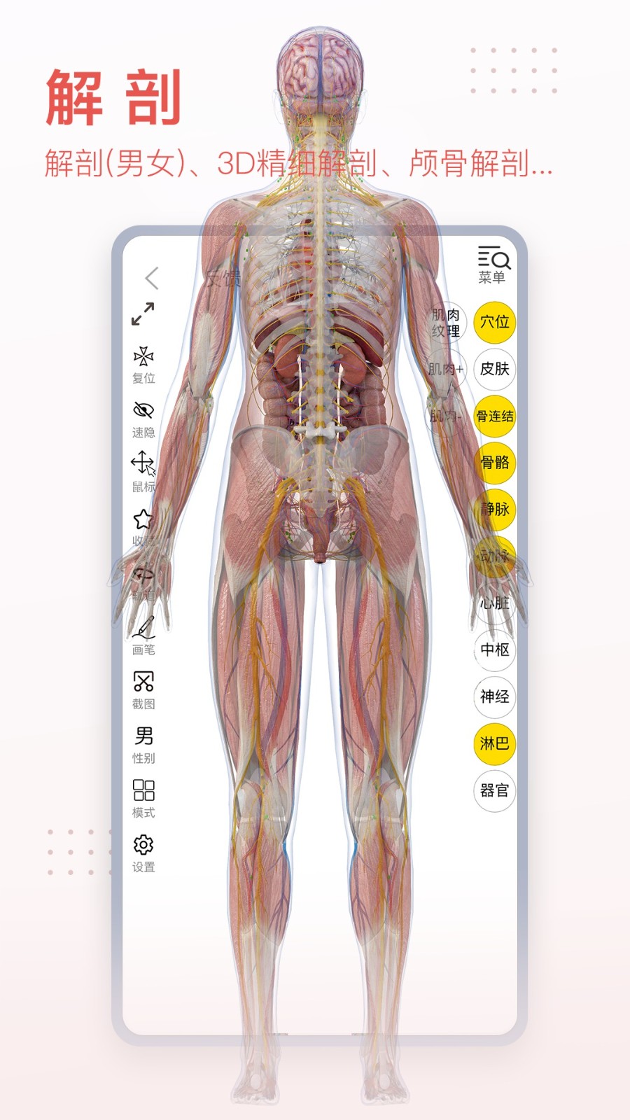 3dbody三维免费人体解剖软件 v8.8.20 官方安卓版4