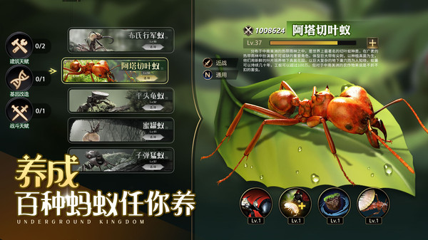 小小蚁国小米渠道服 v1.85.0 安卓版2