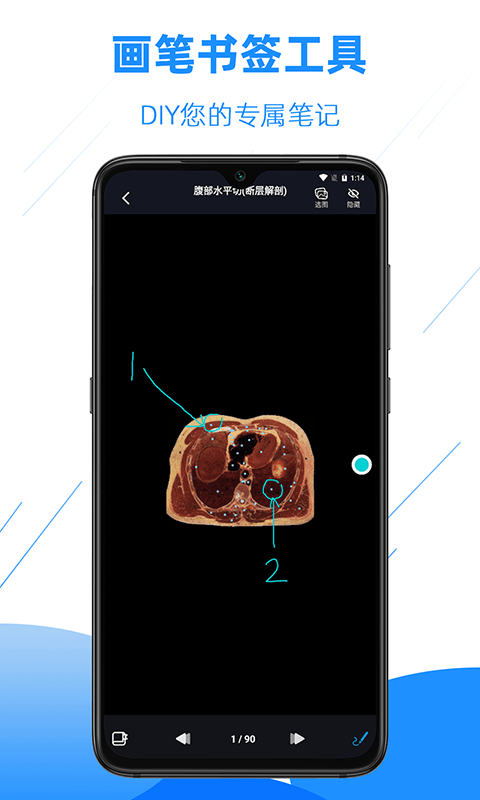 影像解剖图谱官方版 v4.1.8 安卓版3