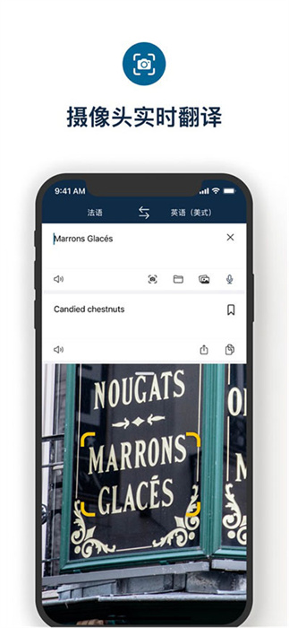 deepl翻译器app v24.4 官方手机版4