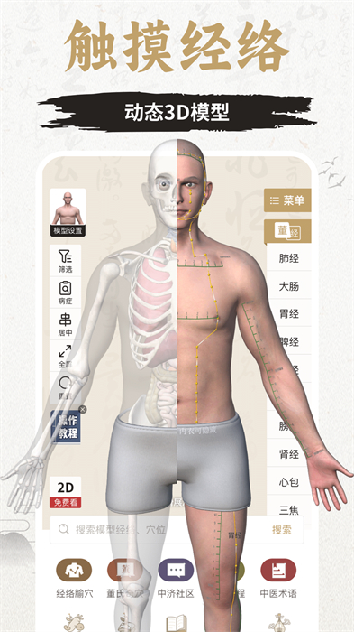 中济经络穴位 v2.11.10 安卓版0