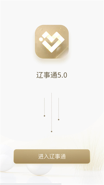 辽阳政务服务网官方手机版(辽事通) v5.0.1 安卓版2