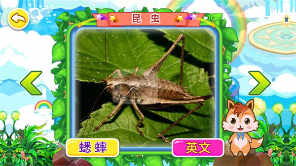 宝宝儿童动物世界手机版 v3.78.47c 安卓版0