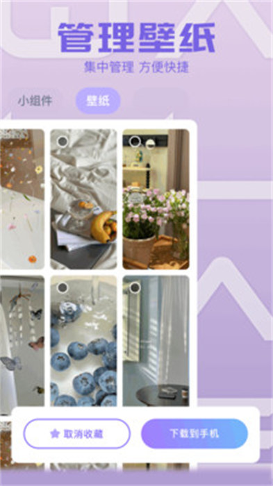 素材盒 v1.1 安卓版3