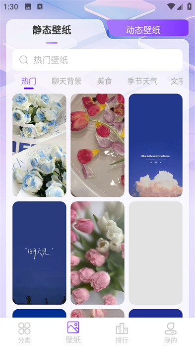 元汽动态壁纸 v1.0.1 安卓版3