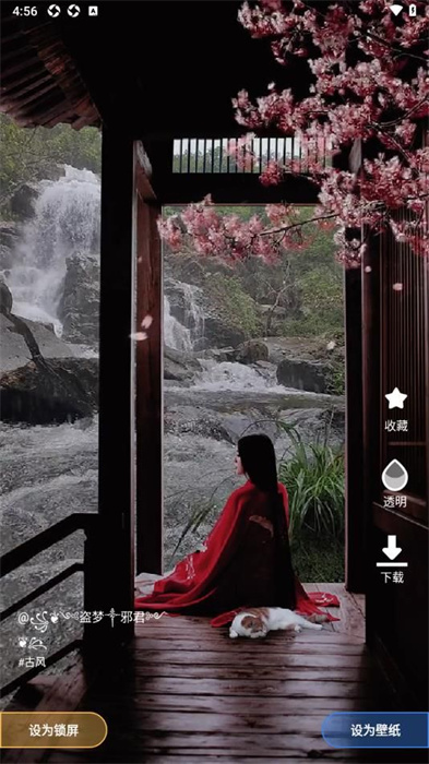 熊猫免费壁纸 v1.0.0 最新版2